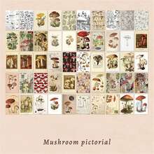 100入/袋迷你小材料本,5.6厘米（2.2英寸）*3.7厘米（1.4英寸）宇宙植物花瓣撕紙材料,手工diy彩色紙,學生獎品,迷你小裝飾禮物 - 彩色 - 查看 9