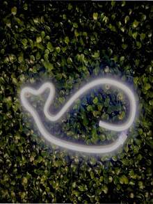 Luminária De Parede Baleia Neon Led Decoração Luz 110/220V