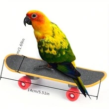 鸚鵡滑板玩具,帶訓練車的啞光防滑,時尚貼紙滑板