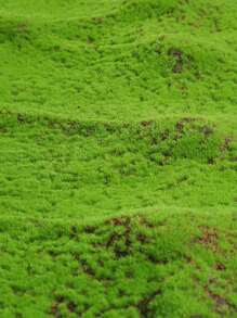 1pc Artificial Moss Mat,Simulation MossFaux Moss Bionic Artificial Moss,Green Moss Micro Landscape Decor,DIY Green Plant For Lawn Potted Plant Paving Landscape Decoration,Outdoor Garden Yard Decor, Valentine Day, Gift