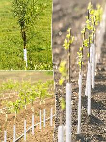 Tree Trunk Protector - Plastic Spiral Tree Guard Wrap - Protect Seedlings And Plants From Deer, Rabbits, Cats, Rodents And Lawn Mower, Tree Bark Protection Pipe - Multicolor - View 7