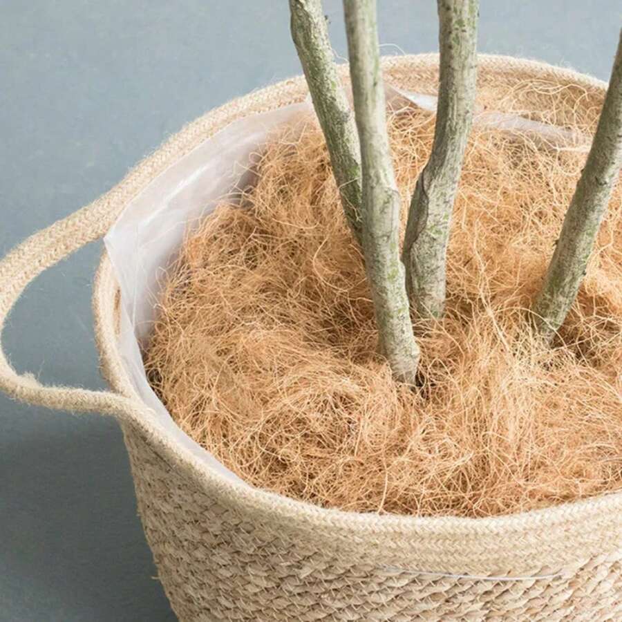 50g Coco Coir Coconut Husk Fiber Orchids Crafts Pet Bedding Insect