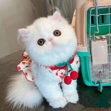 貓衣服,寵物狗衣服,夏季狗裝,公主狗背心裙,可愛狗衣服 - 黃色 - 查看 6