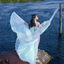 1pc Women's Belly Dance Wings With Stick, Belly Dance Accessory, Costume Carnival Festival Party Performance White & Colorful Wings Prop, Halloween - Color White - View 12