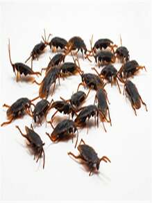 April Fool's Day Cockroach/Beetle Prank Funny Joke Toy, Scary And Gross Prop - Multicolor - View 13