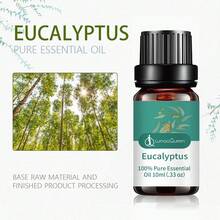Lurnaoqueen 10ML huynh diệp Dầu Dầu thơm Bán sỉ Trị liệu Cấp - bạch đàn - Xem 5