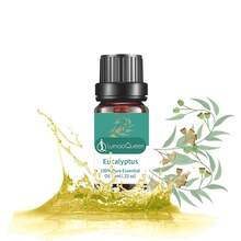 Lurnaoqueen 10ML huynh diệp Dầu Dầu thơm Bán sỉ Trị liệu Cấp - bạch đàn - Xem 1