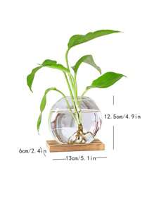 1入組桌面圓形玻璃盆栽,有木質支架的玻璃花瓶,可用於繁殖小型水培植物家居辦公室裝飾
