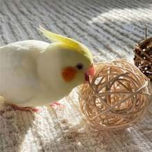 10pcs Natural Colored Wicker Rattan Balls Suitable For Parrots Birds Chewing, Molar, Tear And Bite Toy Supplies - White - View 5
