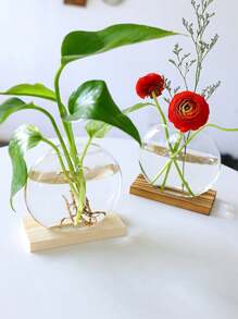 1入組桌面圓形玻璃盆栽,有木質支架的玻璃花瓶,可用於繁殖小型水培植物家居辦公室裝飾
