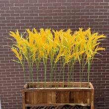 2Pcs Garden Wind Simulation Plant Rice Ear Fake Rice, Artificial Grass Seedlings Plastic Rice Ear Golden And Green, Long 5 Forks Rice Ear Barley, Wheat Bouquet Props, Suitable For Outdoor Decoration - Yellow - View 3