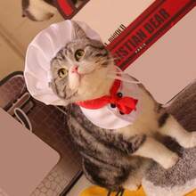 1 Set Con El Sombrero De Chef Del Gato, Sombrero De Rey De Cocina Para Mascotas, Disfraz De Transformación Para Gatos Y Perros, Accesorios Para Mascotas - Blanco - Ver 9