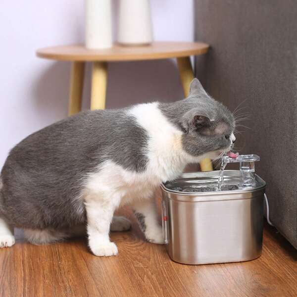 304 Stainless Steel Pet Water Dispenser, WF-120 Square Full Stainless Steel Automatic Circulation Filtration Smart Sensor Water Dispenser For Cats, Constant Temperature Water Supply For Cats And Dogs, Suitable For Medium And Small Pets