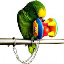 1 pieza Pelota de juguete con loro de colores lindo