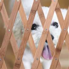 Playards - 米色 - 查看 8