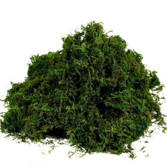 1 st 20g Kunstmatige Groene Planten Eeuwig Leven Mos DIY Ambachten Gras Tuin Huis Kamer Decor Mini Landschap Nep Gras