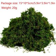 1pc 20g Artificial Green Plants Eternal Life Moss DIY Crafts Grass Garden Home Room Decor Mini Landscape Fake Grass