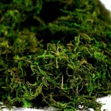 1pc 20g Artificial Green Plants Eternal Life Moss DIY Crafts Grass Garden Home Room Decor Mini Landscape Fake Grass