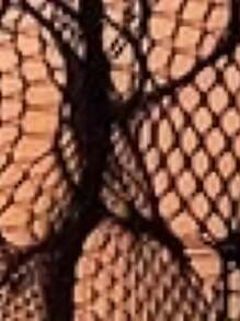 Bodystocking de Lencería Sexy de 1 Pieza - Negro - Ver 5