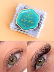 SONG LASHES6D 8D 10D Premade Fans Sharp Thin Pointy Base Premade Fans Eyelash Extensions Lash Clusters,Eye Lash Clusters,Individual Eyelashes,Lashes,Fake Lashes - D - View 7