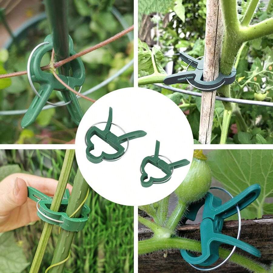 Gardening Phalaenopsis And Garden Tool Set, Including Tomato Plant Clips, Plastic Clips, Used To Fix Plants And Promote Better Growth - Multicolor - View 1