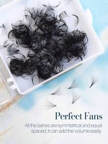 SONG LASHES6D 8D 10D Premade Fans Sharp Thin Pointy Base Premade Fans Eyelash Extensions Lash Clusters,Eye Lash Clusters,Individual Eyelashes,Lashes,Fake Lashes - D - View 6