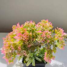 創意新型人造花盆景新月形菊花種子仿真植物家居裝飾擺件室內餐桌客廳插花工藝小盆栽 - 藕粉色 - 查看 3