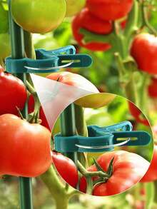 Gardening Phalaenopsis And Garden Tool Set, Including Tomato Plant Clips, Plastic Clips, Used To Fix Plants And Promote Better Growth - Multicolor - View 10