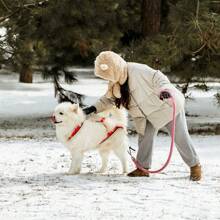 Arnés reflectante para arrastrar trineos para perros medianos y grandes - Chaleco de nailon ajustable a prueba de choques con almohadilla de soporte lumbar, apto para esquí de fondo con perro