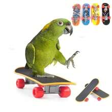 1pc Bird Toy Fun Mini Skateboard Parrot Toy Training Skateboard Budgie Parakeet Growing Toy Smart Bird Accessories Bird Toys Budgie