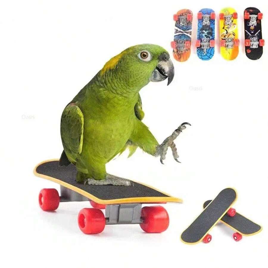 1pc Bird Toy Fun Mini Skateboard Parrot Toy Training Skateboard Budgie Parakeet Growing Toy Smart Bird Accessories Bird Toys Budgie
