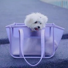 PETDORA Jelly Pet Carrier Backpack, Semi-Transparent Frosted TPU Tote Bag For Small Dogs And Cats - Multicolor - View 6