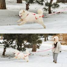 Arnés reflectante para arrastrar trineos para perros medianos y grandes - Chaleco de nailon ajustable a prueba de choques con almohadilla de soporte lumbar, apto para esquí de fondo con perro