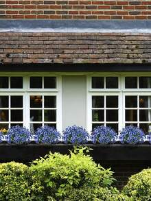 4入組11.81英寸人造紫羅蘭花，抗UV戶外植物，不褪色的人造塑料灌木，假絲花，門廊花園，家居和婚禮裝飾（藍色） - 4PCS 紫羅蘭藍色 - 查看 5