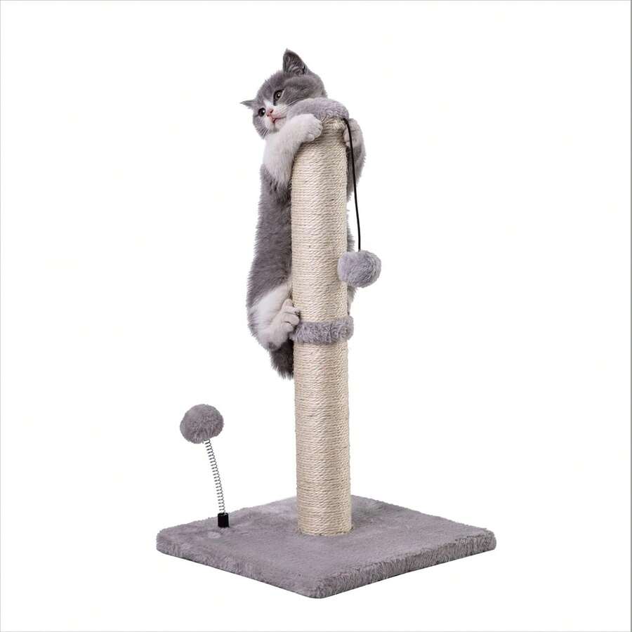Bài cào cho mèo Thông tin cơ bản cao cấp Kitten Scratcher Sisal Bài cào có bóng treo 22" dành cho mèo con hoặc mèo nhỏ hơn (22 inch dành cho mèo con, màu xám) - Xám - Xem 1