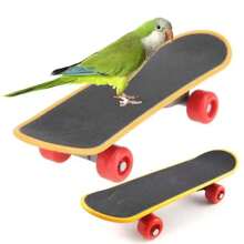 1pc Bird Toy Fun Mini Skateboard Parrot Toy Training Skateboard Budgie Parakeet Growing Toy Smart Bird Accessories Bird Toys Budgie