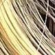 Piano Color