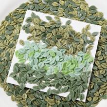 200Pcs Random Mix Leaf Design New Nail Art Accessories Diy Nail Charms Nail Gems Nail Supplies Nails