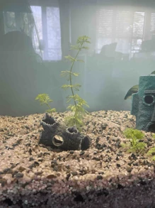 1pc Driftwood Fragment Aquarium Decor, Shrimp & Fish Hiding House, Fish Tank Landscape Ornament