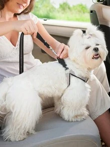 1 pieza de correa de seguridad retráctil con absorción de impactos, elasticidad, reflectividad para mascotas, fabricada con nylon resistente