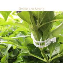100pcs, Garden Tomato Clips - Plant Support For Healthier, Upright Growth - Clear - View 10