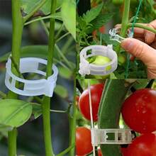 100pcs, Garden Tomato Clips - Plant Support For Healthier, Upright Growth - Clear - View 4