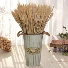 200/100/50/1 pièce Tiges Tiges De Blé Séchées Séché, Oreille Naturelle De Grain De Blé Fleurs Pour La Maison Table À Manger Arrangement De Fleurs Art Décoration De Mariage