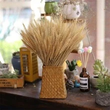 200/100/50/1 pièce Tiges Tiges De Blé Séchées Séché, Oreille Naturelle De Grain De Blé Fleurs Pour La Maison Table À Manger Arrangement De Fleurs Art Décoration De Mariage