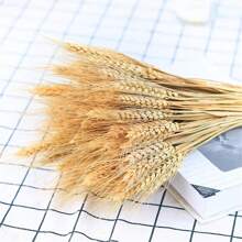 200/100/50/1 pièce Tiges Tiges De Blé Séchées Séché, Oreille Naturelle De Grain De Blé Fleurs Pour La Maison Table À Manger Arrangement De Fleurs Art Décoration De Mariage