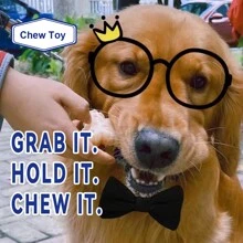 1pc Durable Puppy Keep Dog Chew Toy, Attack Chewers Resistant Dog Toy, Small Dog Indestructible Dog Bone - Peanut Butter Flavor - Yellow - View 5