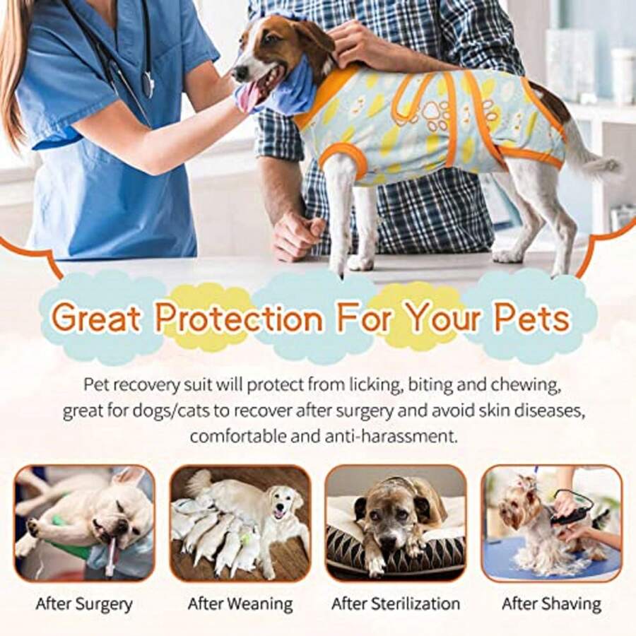 Dog Recovery Suit After Surgery For Dog Cat, Surgical Pant For Female