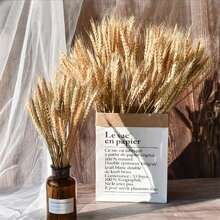 200/100/50/1 pièce Tiges Tiges De Blé Séchées Séché, Oreille Naturelle De Grain De Blé Fleurs Pour La Maison Table À Manger Arrangement De Fleurs Art Décoration De Mariage