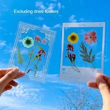 12入組創意乾花書籤DIY套件，含透明瓶、花瓣貼紙和壓花，適合學生使用 - 白色 - 查看 1