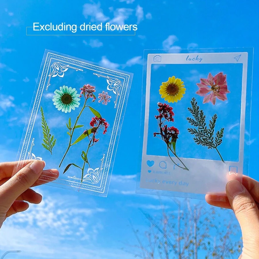 12入組創意乾花書籤DIY套件，含透明瓶、花瓣貼紙和壓花，適合學生使用 - 白色 - 查看 1